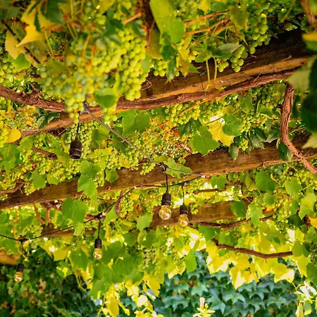 كاسا دو باتيو باي شادو