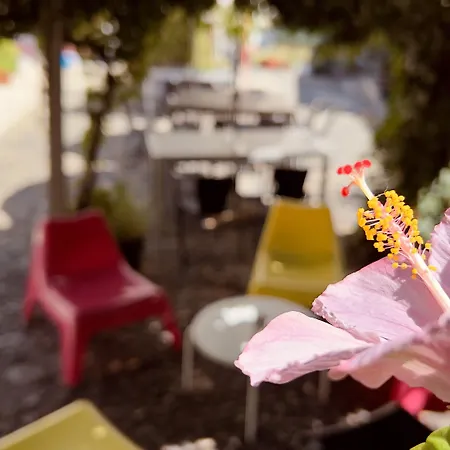 Casa Do Patio By Shiadu Pensionat Lisboa