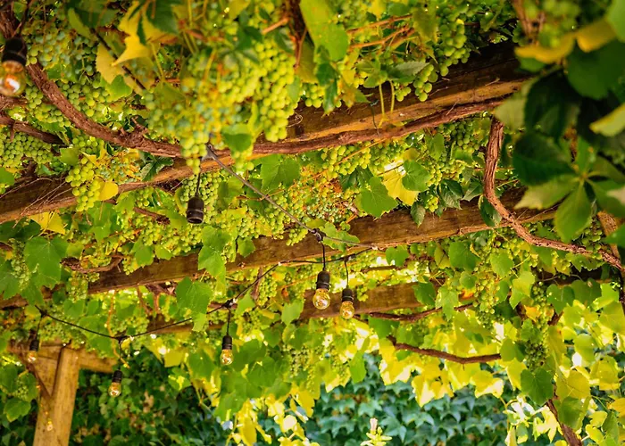 Casa Do Patio By Shiadu