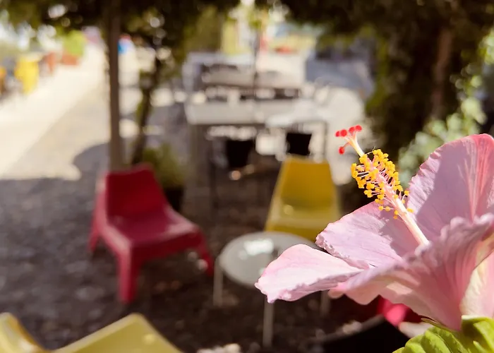 Casa Do Patio By Shiadu Gæstehus Lisboa