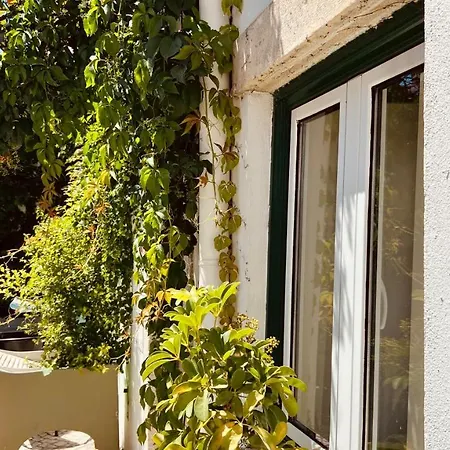 Casa Do Patio By Shiadu Guest house Lisbon